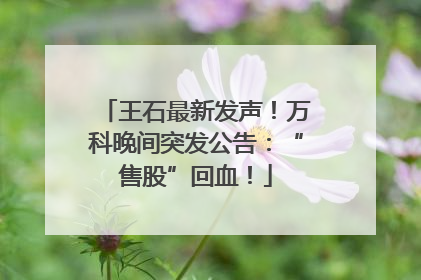 王石最新发声！万科晚间突发公告：“售股”回血！
