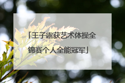 王子露获艺术体操全锦赛个人全能冠军
