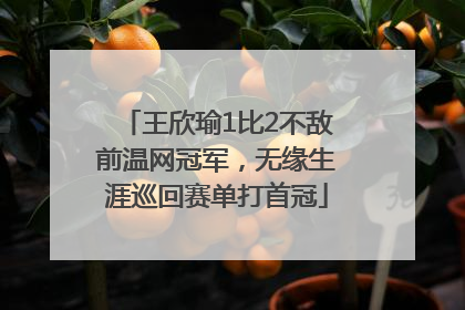 王欣瑜1比2不敌前温网冠军，无缘生涯巡回赛单打首冠