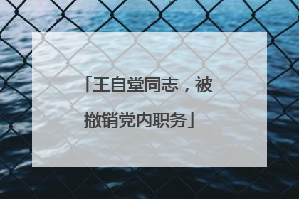 王自堂同志，被撤销党内职务