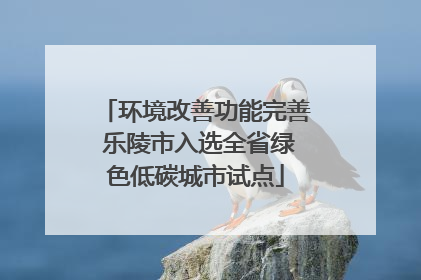 环境改善功能完善 乐陵市入选全省绿色低碳城市试点