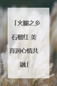 火腿之乡石榴红 美育润心情共融