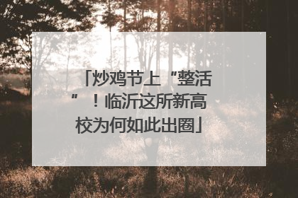 炒鸡节上“整活”！临沂这所新高校为何如此出圈