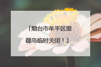 烟台市牟平区里蹦岛临时关闭！