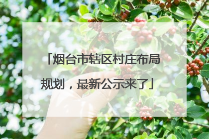 烟台市辖区村庄布局规划，最新公示来了