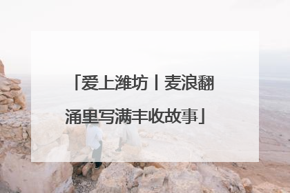 爱上潍坊丨麦浪翻涌里写满丰收故事