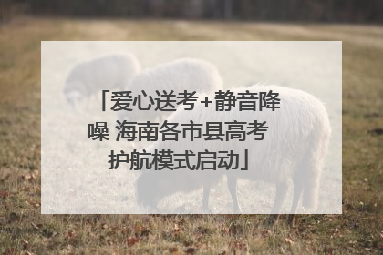 爱心送考+静音降噪 海南各市县高考护航模式启动