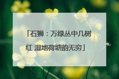 石狮：万绿丛中几树红 湿地荷塘韵无穷
