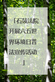 石鼓法院开展六五世界环境日普法宣传活动