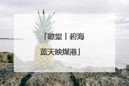 瞭望丨碧海蓝天映煤港