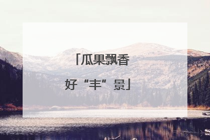 瓜果飘香 好“丰”景