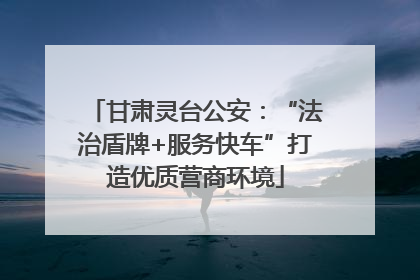 甘肃灵台公安：“法治盾牌+服务快车”打造优质营商环境