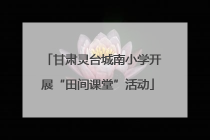 甘肃灵台城南小学开展“田间课堂”活动
