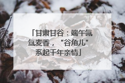 甘肃甘谷：端午氤氲麦香，“谷角儿”系起千年亲情