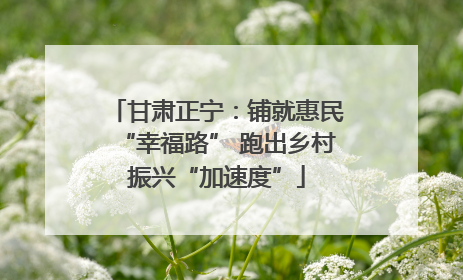 甘肃正宁：铺就惠民“幸福路” 跑出乡村振兴“加速度”