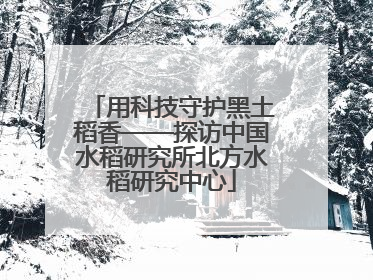 用科技守护黑土稻香——探访中国水稻研究所北方水稻研究中心