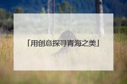 用创意探寻青海之美