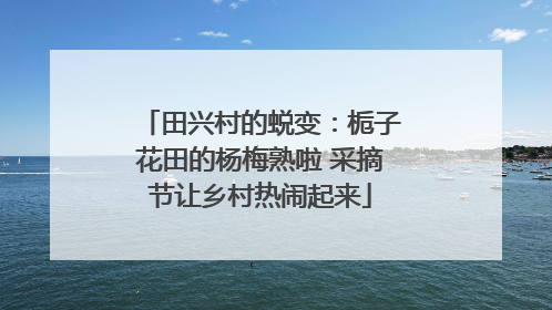 田兴村的蜕变：栀子花田的杨梅熟啦 采摘节让乡村热闹起来