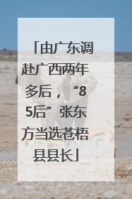 由广东调赴广西两年多后，“85后”张东方当选苍梧县县长