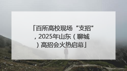 百所高校现场“支招”，2025年山东（聊城）高招会火热启幕