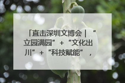 直击深圳文博会｜“立园满园”+“文化出川”+“科技赋能”，成都传媒发布三大文创领域合作清单