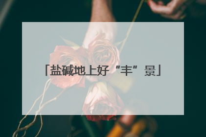 盐碱地上好“丰”景