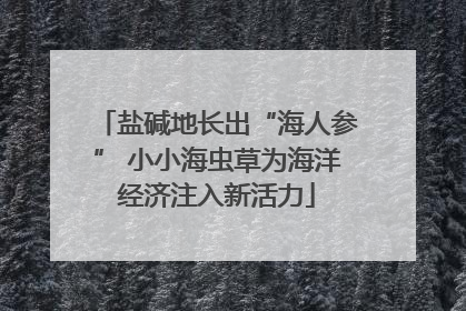 盐碱地长出“海人参” 小小海虫草为海洋经济注入新活力