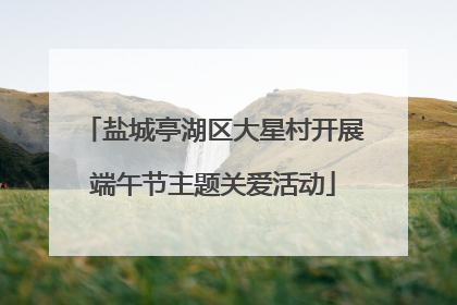 盐城亭湖区大星村开展端午节主题关爱活动