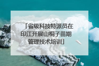 省级科技特派员在印江开展山桐子苗期管理技术培训