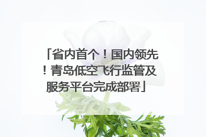 省内首个！国内领先！青岛低空飞行监管及服务平台完成部署