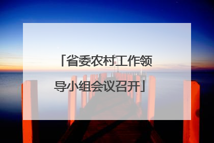 省委农村工作领导小组会议召开