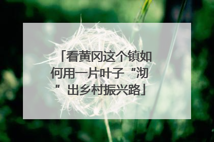 看黄冈这个镇如何用一片叶子“沏”出乡村振兴路