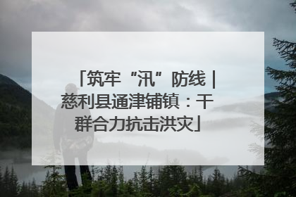筑牢“汛”防线｜慈利县通津铺镇：干群合力抗击洪灾