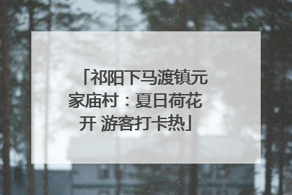 祁阳下马渡镇元家庙村：夏日荷花开 游客打卡热