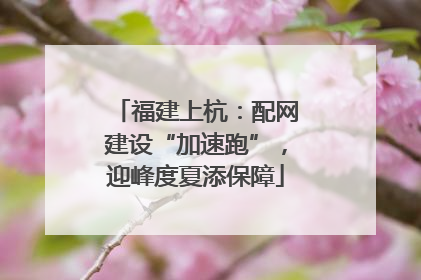 福建上杭：配网建设“加速跑”，迎峰度夏添保障