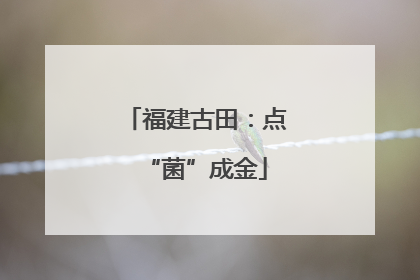 福建古田：点“菌”成金