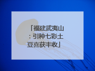 福建武夷山：引种七彩土豆喜获丰收