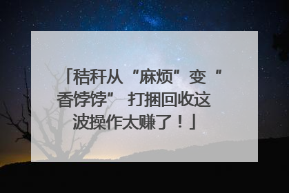 秸秆从“麻烦”变“香饽饽” 打捆回收这波操作太赚了！