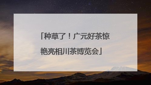 种草了！广元好茶惊艳亮相川茶博览会