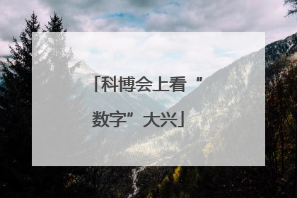 科博会上看“数字”大兴