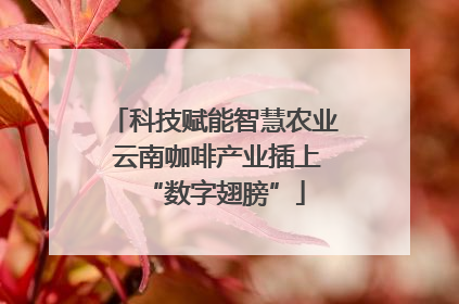 科技赋能智慧农业 云南咖啡产业插上“数字翅膀”