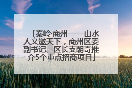秦岭·商州——山水人文邀天下，商州区委副书记、区长支朝奇推介5个重点招商项目