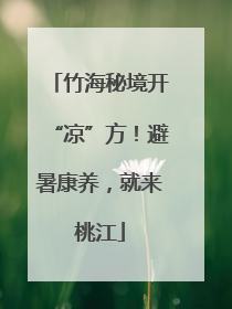 竹海秘境开“凉”方！避暑康养，就来桃江