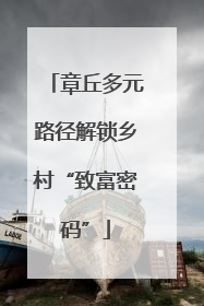 章丘多元路径解锁乡村“致富密码”