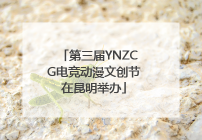 第三届YNZCG电竞动漫文创节在昆明举办