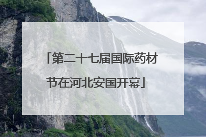 第二十七届国际药材节在河北安国开幕