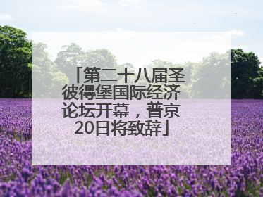 第二十八届圣彼得堡国际经济论坛开幕，普京20日将致辞