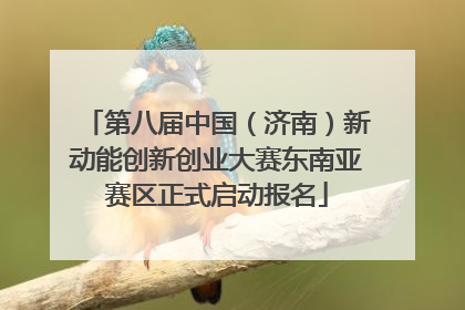 第八届中国（济南）新动能创新创业大赛东南亚赛区正式启动报名