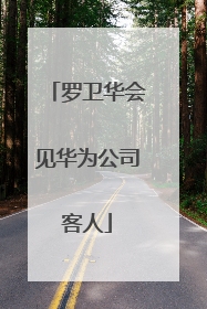 罗卫华会见华为公司客人