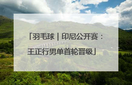 羽毛球｜印尼公开赛：王正行男单首轮晋级